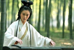 诸葛亮的妻子是谁的女儿，诸葛亮的妻子是谁他是怎么娶到她的