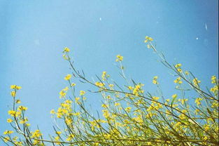 春天是哪几个月份