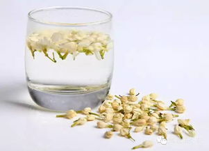 茉莉花茶适合什么季节喝，苏州茉莉花茶属于什么茶