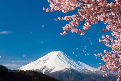 求富士山下的国语歌词···