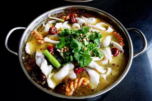 酸菜鱼怎么烧才好吃?