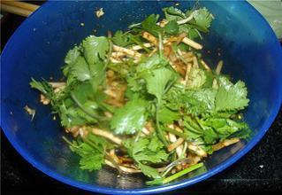 鱼腥草的作用，鱼腥草根