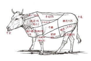 吊龙伴图片，吊龙伴怎么吃