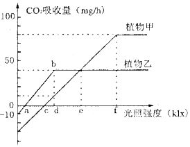 光照强度的单位cd，光照强度的单位cd怎么读