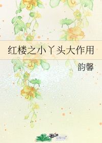 红楼梦主要丫头，红楼梦中丫头