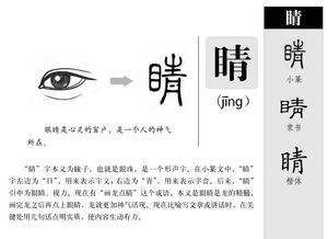 睹的组词和部首，肚的组词