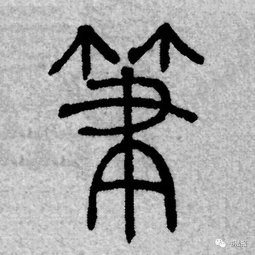 带有竹字头的字