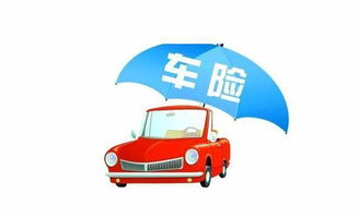 车险有几家保险，车险有几家送洗车劵