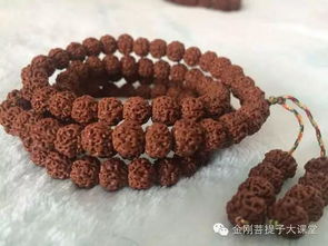 9瓣金刚菩提子是真的吗，金刚菩提子七瓣