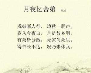 舍亲舍弟的读音