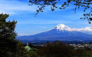 富士山下国语版歌词，富士山下国语版叫什么爱情呼叫转移