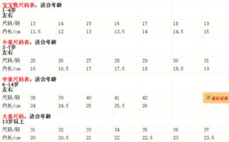 27码的鞋子内长多少，50码的鞋是多少厘米