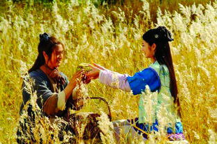 歌词牛郎织女为我们点头，牛郎爱上织女歌词