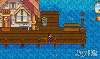星露谷物语把什么带入密林