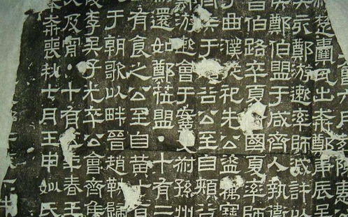 人无完人的下一句是什么