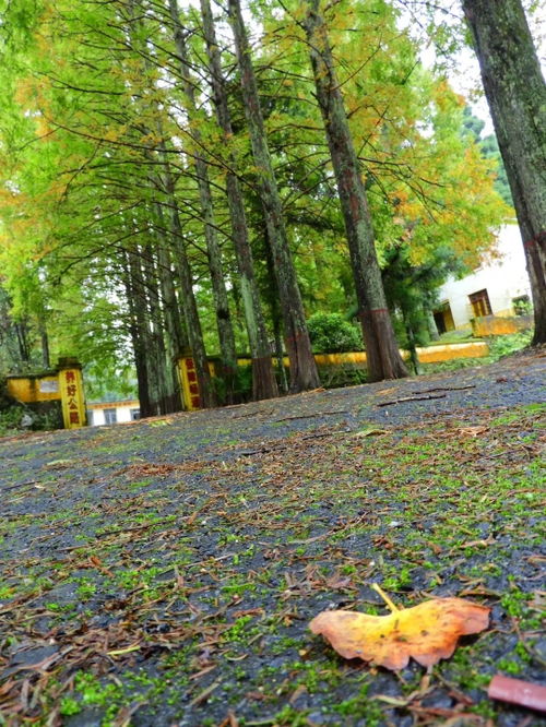 现在是什么季节用英语怎么说，现在是什么季节11月19日