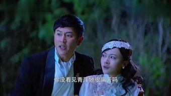 烽火佳人电视剧全集周结局 电视剧烽火佳人讲的是什么