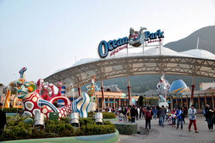 如何移民香港