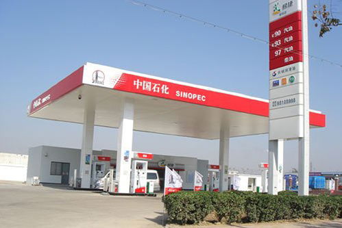 中国燃料加油站的油怎么样，加油站有几种油