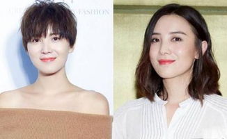 天生发质硬怎么改善成软的