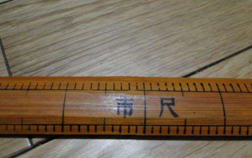 腰围3尺1是多少厘米，3尺1是多少厘米长度