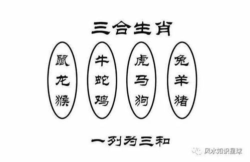 鸡龙属相合吗男男，属鸡与属鸡相结合怎么样