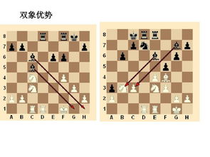 国际象棋术语谜材，国际象棋术语 绝对先手 英文