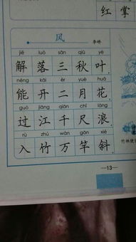 风的拼音是什么
