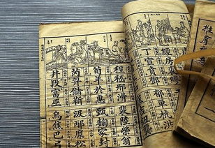 百家姓中没有哪个姓?