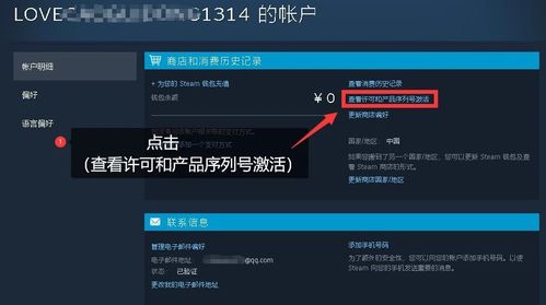 手机版的steam怎么用充值码充值钱?