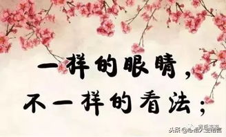 处事圆滑的近义词，处事圆滑的表现
