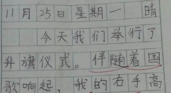 日记怎么写才好，仓鼠的曰记怎么写