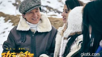 有哪些知名演员出演了《功夫瑜伽》这部影视作品?