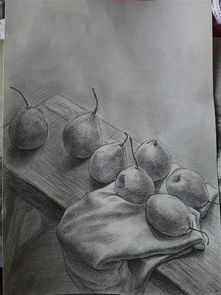 素描临摹静物，素描临摹素材静物