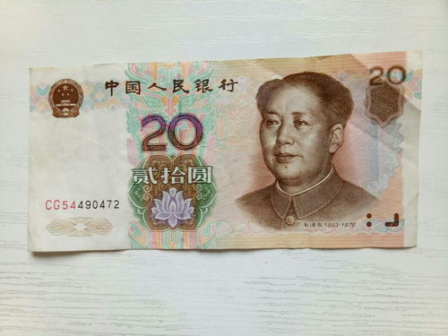 1999年属兔的今年多大了?
