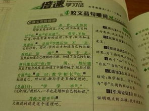 虽有嘉肴翻译及原文拼音，虽有嘉肴翻译简短