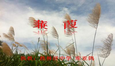 把蒹葭改写成抒情文
