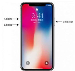苹果x突然屏幕失灵怎么处理，苹果12屏幕失灵怎么强制关机