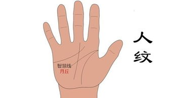 手掌有横纹,表示什么意思呢男人,女人会有不同的意思