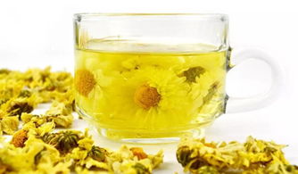 喝菊花茶有什么好处 三点好处让你了解