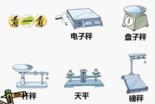 2.2公斤等于多少斤，29公斤等于多少斤