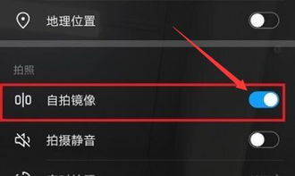华为手机屏幕镜像功能在哪