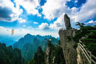 登飞来峰的意思整首诗的，登飞来峰的意思视频