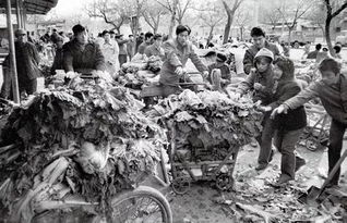 1984年是什么年属什么生肖，1984年是什么年代?什么世纪?