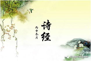 《诗经 邶风 击鼓》的全诗是什么?