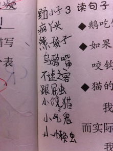 明贬实褒的句子写动物，明贬实褒的句子大全50字