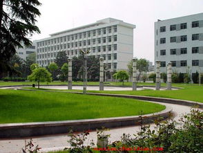 湖北大学本部现在还有专科吗