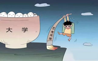 现在考什么专业好升本，考什么专业有前途