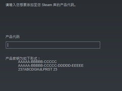 steam游戏兑换码怎么兑换，steam上的兑换码怎么弄