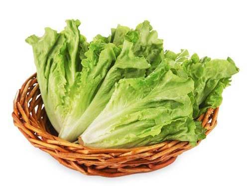 生菜热量100g，娃娃菜热量